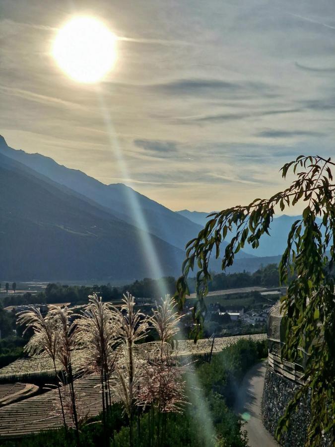 Вилла Langstein Bio Urlaub & Genuss Кольдрано Экстерьер фото